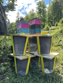 Kunstschwarm